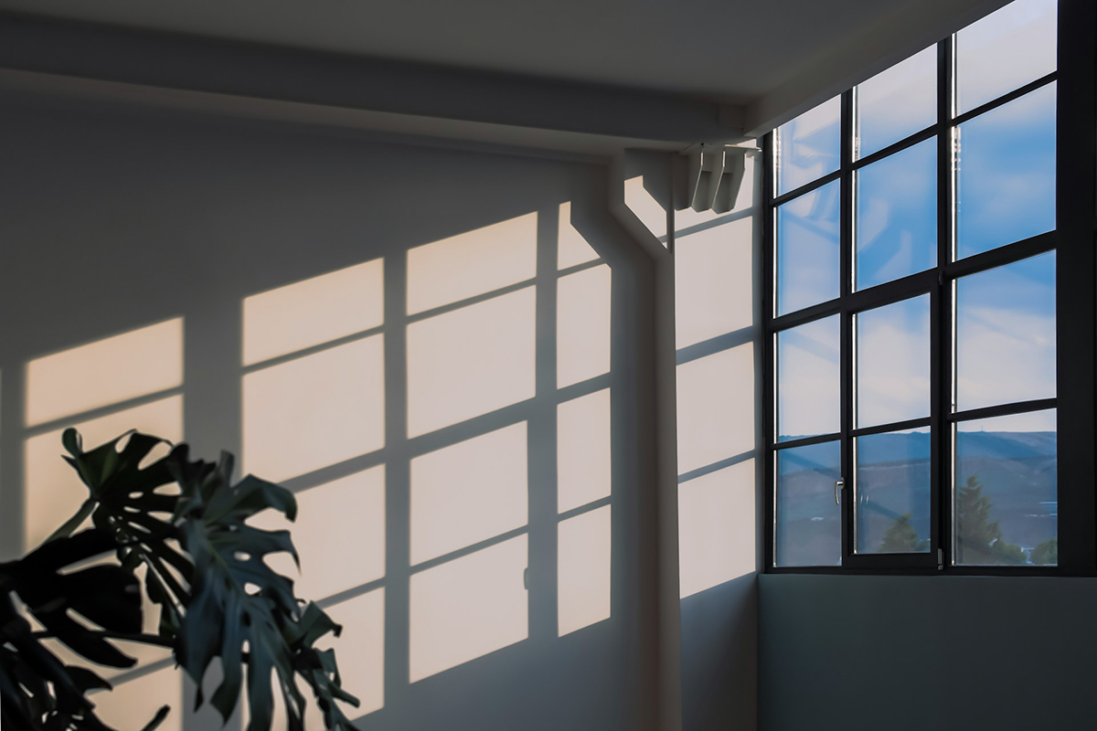Photo by Amel Majanovic on Unsplash