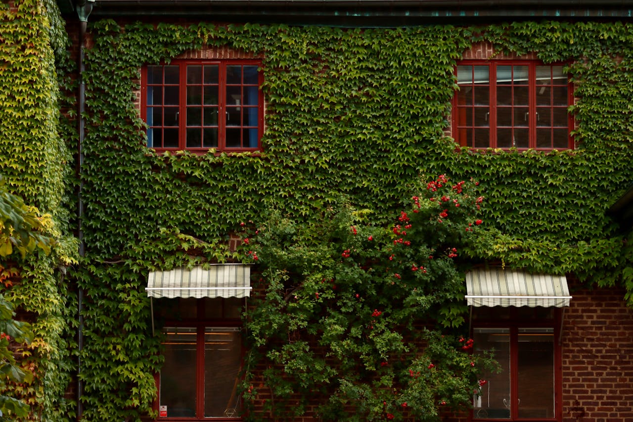 Photo by Efrem Efre on Pexels